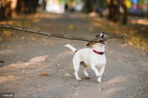 ��Ȥ�����ʲô��˼ �������˵ĺ����Ļ�ϲ��