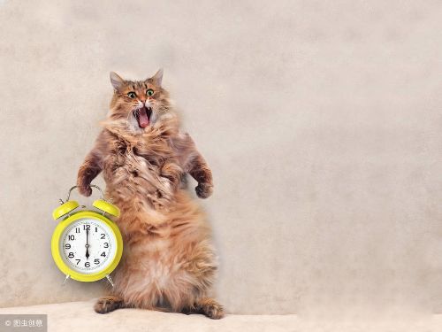 ��Ȥ�����ʲô��˼ �������˵ĺ����Ļ�ϲ��