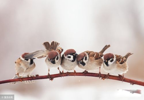 ��Ȥ�����ʲô��˼ �������˵ĺ����Ļ�ϲ��