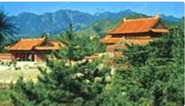 ���Ӣ��ĹʱΪʲôҪ�Ѵ������ϵ��·���������