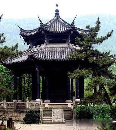 ��ͤ��Ϊʲô��ô��� �����������ļ�ֵ����