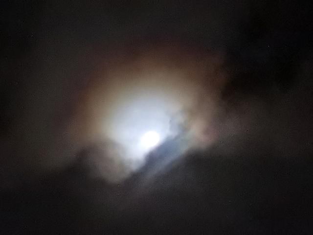 ��ѧ�ľ�ͷ����ѧ����ѧ�ľ�ͷ����ѧ ��ͷ��������������