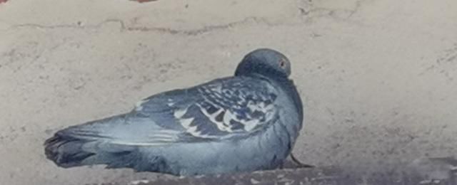 ��ѧ�ľ�ͷ����ѧ����ѧ�ľ�ͷ����ѧ ��ͷ��������������