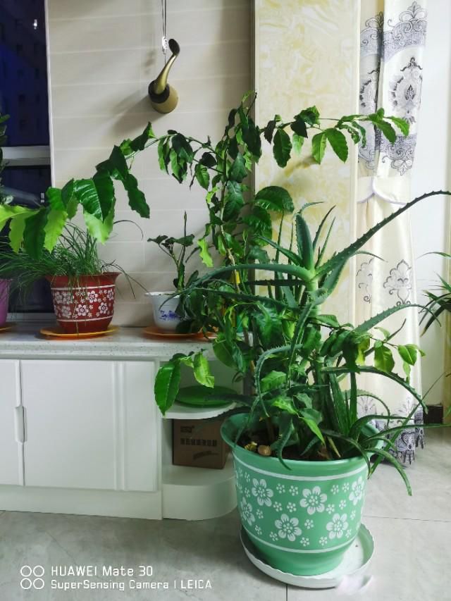 ��ѧ�ľ�ͷ����ѧ����ѧ�ľ�ͷ����ѧ ��ͷ��������������