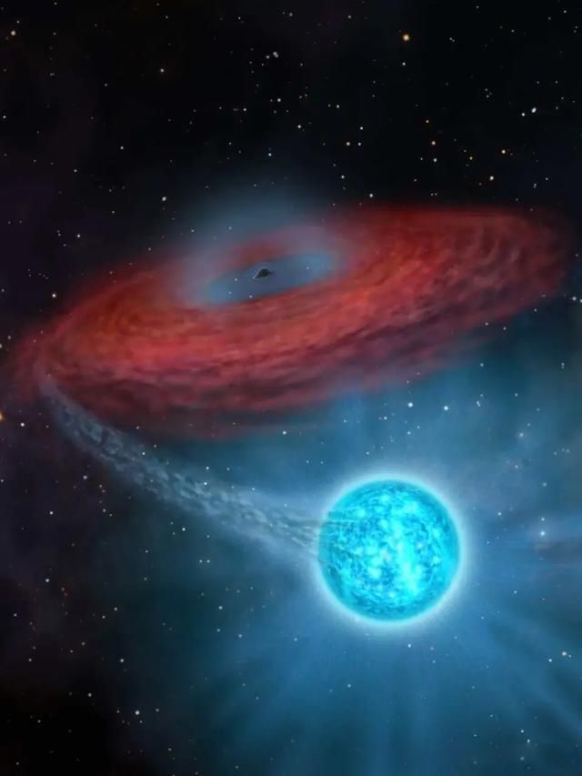 ��ѧ�ľ�ͷ����ѧ����ѧ�ľ�ͷ����ѧ ��ͷ��������������