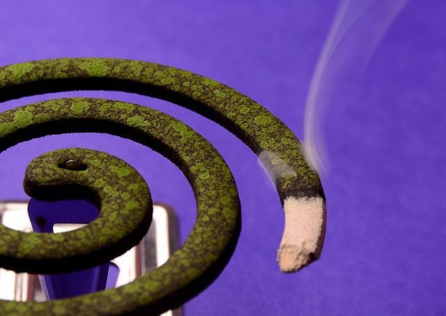 家里有蟑螂怎么办能除根 用此法最终家中再无小强