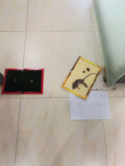 ������������ô�ܳ������� ����һ�±��˵�������