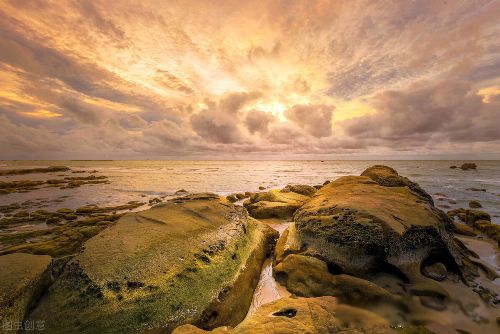 有趣的灵魂百里挑一,好看的皮囊千篇一律 将一种悖论说成了真理