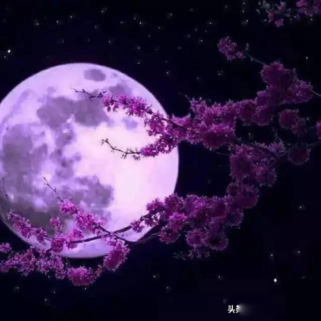 ���б������ ��������Բȱ ���¹���ȫ ��������Ҳ���黳