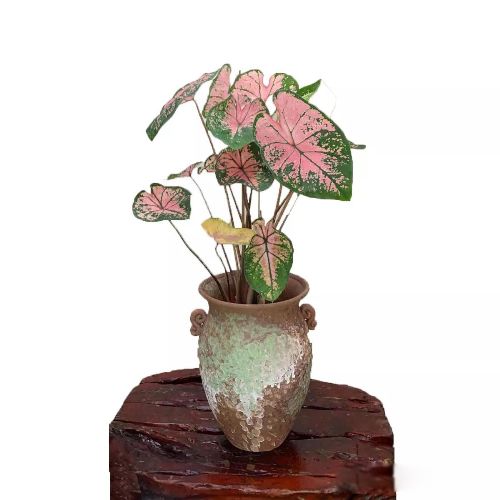 ���˷��������������� ���в���Ϊ�˵���ԭ��