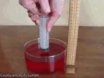 ��ţ��������ʲô��˼ ��������Щ����