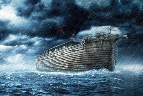 ŵ�Ƿ�����Ĵ����� �����䡰ŵ�Ƿ��ۡ���ַ