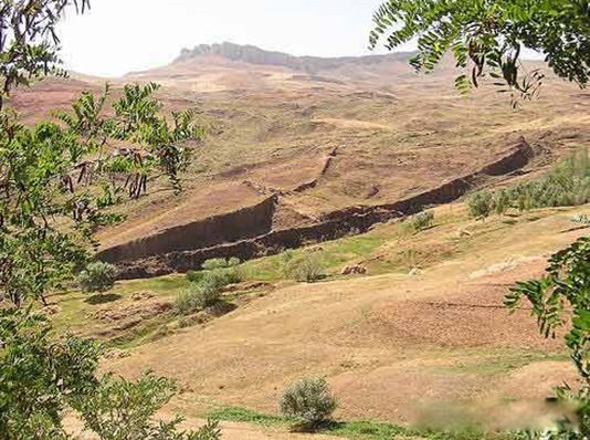 ŵ�Ƿ�����Ĵ����� �����䡰ŵ�Ƿ��ۡ���ַ