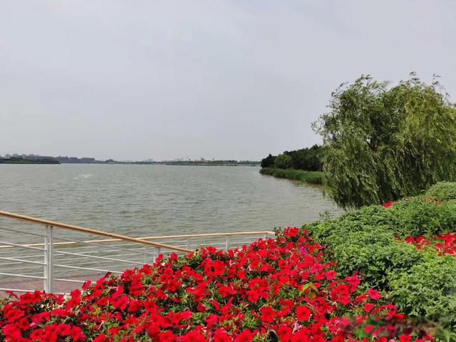 �˵�����ľ��ٸ��� ��������һ��һ���˵Ĺ¶�����Ϸ
