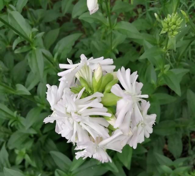 �������ҵ����������� ��ȥ�����˻���ĳ���ط�����