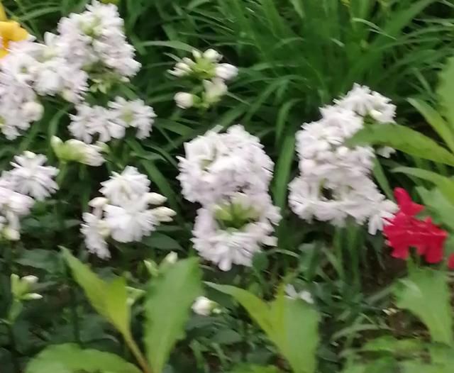 �������ҵ����������� ��ȥ�����˻���ĳ���ط�����