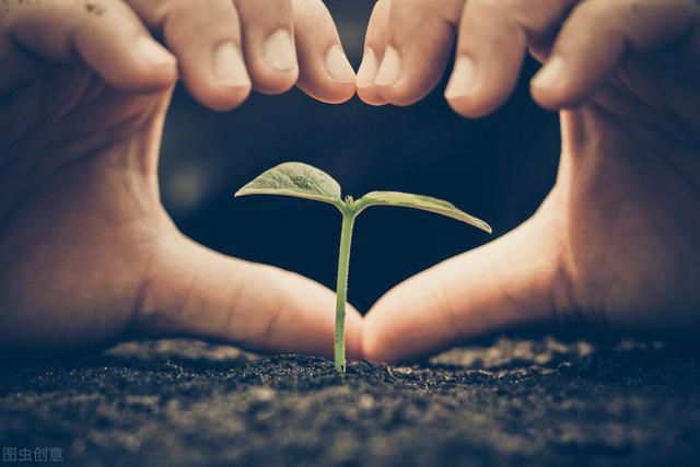 张宏民为什么至今单身 只是没结婚没孩子而已