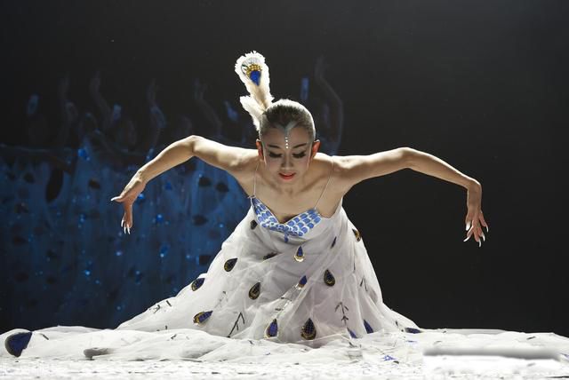 张宏民为什么至今单身 只是没结婚没孩子而已