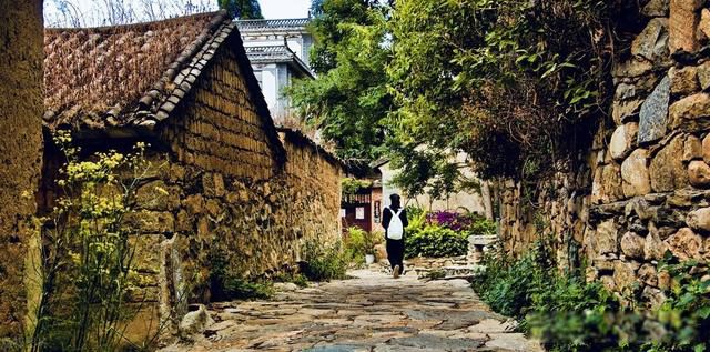 张宏民为什么至今单身 只是没结婚没孩子而已