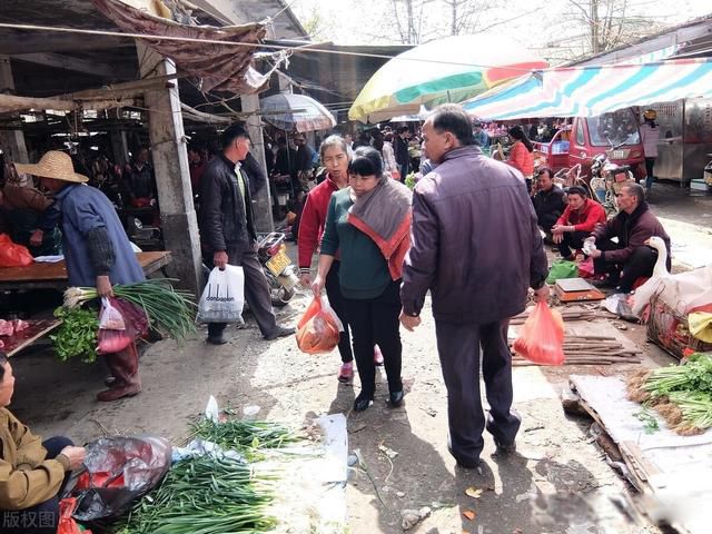 张宏民为什么至今单身 只是没结婚没孩子而已