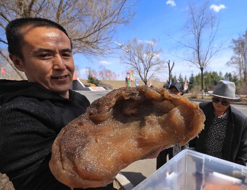 太岁是什么东西 一种粘菌的复合体