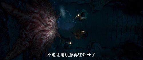 太岁是什么东西 一种粘菌的复合体