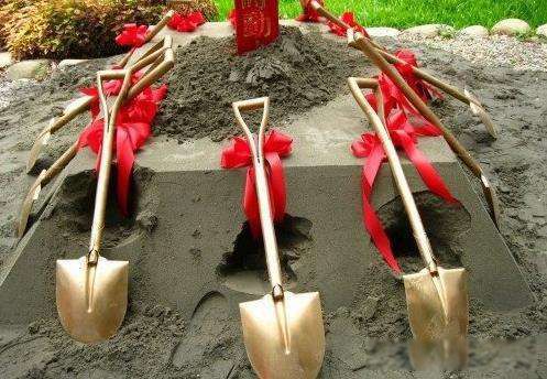 太岁是什么东西 一种粘菌的复合体