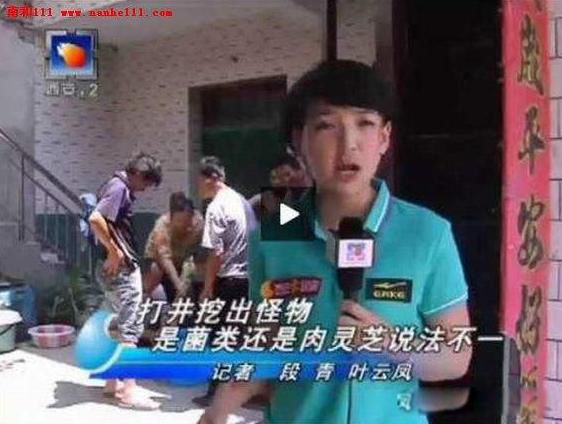 太岁是什么东西 一种粘菌的复合体