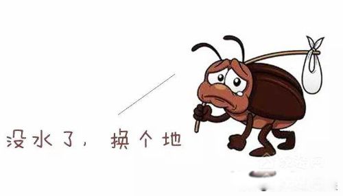 �����������ô�� Ԥ��Ϊ����ɱ��ͣ