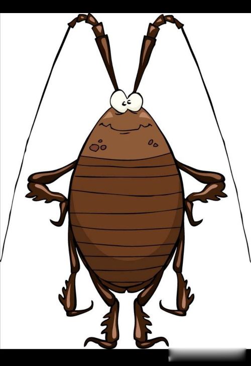 �����������ô�� Ԥ��Ϊ����ɱ��ͣ