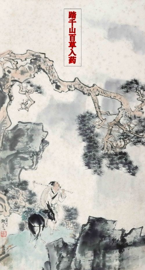 ��٢�Ǳ�˭ɱ���� �ܲ�Ϊʲôɱ��٢