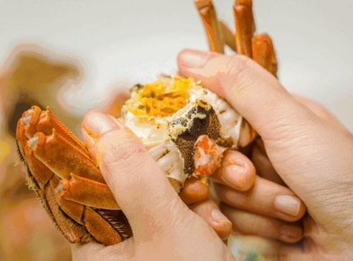 ��һ�����з������˭ ³Ѹ����˵�����¸ҵ���
