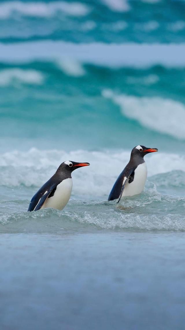 ���������۲�����ԭ�� ��Ӧ��������������ԭ��