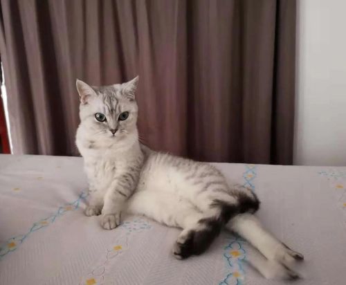 �����������ô���ܳ��� ���Է������²��������