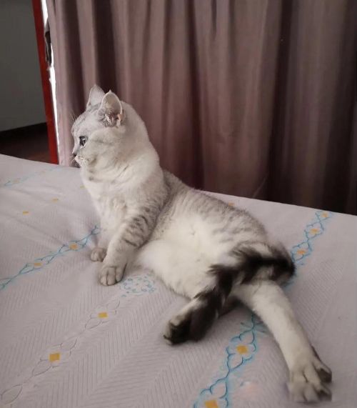 �����������ô���ܳ��� ���Է������²��������