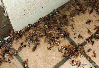 �����������ô���ܳ��� ���Է������²��������
