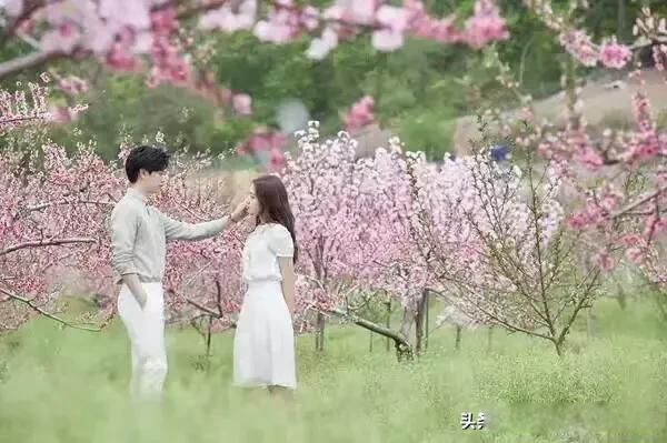 男人不坏女人不爱 男人的坏指的是什么