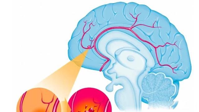 ����˹̹����240����Ƭ������� ������о���ֵ����