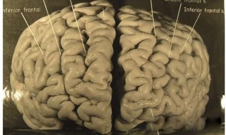 ����˹̹����240����Ƭ������� ������о���ֵ����