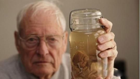 ����˹̹����240����Ƭ������� ������о���ֵ����