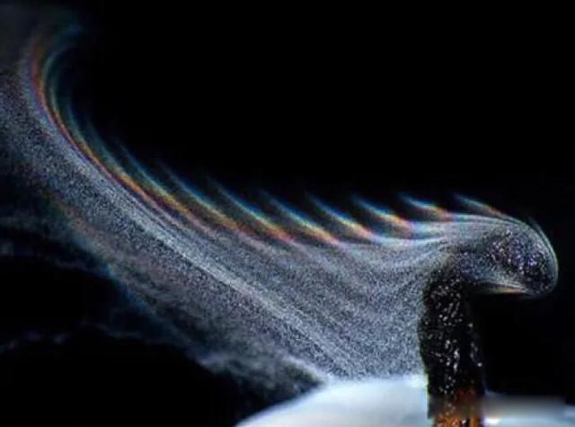 ��������ǰ����������Щ ȥ����ǰ������лعⷵ������