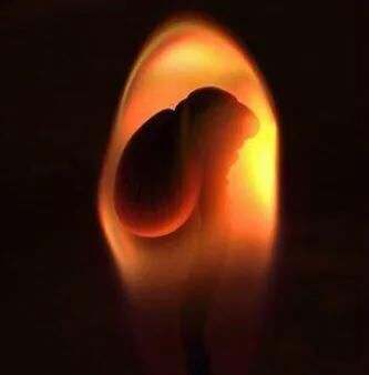 ��������ǰ����������Щ ȥ����ǰ������лعⷵ������