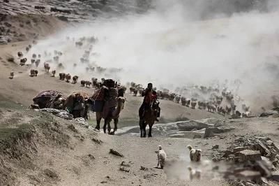 ����һ�����ô���� �ǻ��������һ���ڰ���ʷ