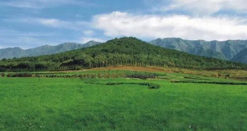 秦始皇为什么不立皇后 千古一帝的“千古之谜”