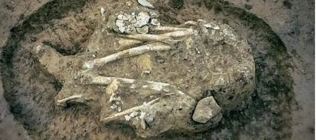 秦始皇有几位夫人分别生的孩子是谁 约有三十位子女