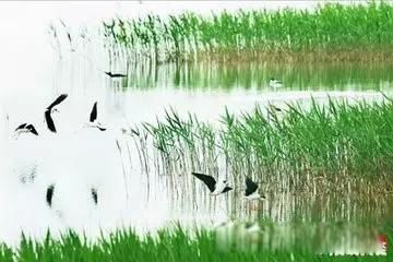 ������Ǽ��¼��� ����ԭͶ���޽���ʼ��ϰ��