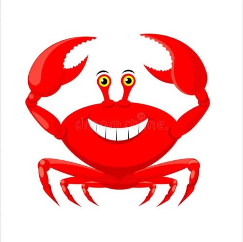 �����зŮ��ʲô��˼ ���ŷ����������зŮ