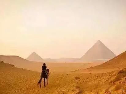 岳飞为什么会被处死 其实是他自己寻死