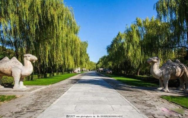 ʮ������˭��Ĺ�� Ϊʲô����ֻ��������ʮ����