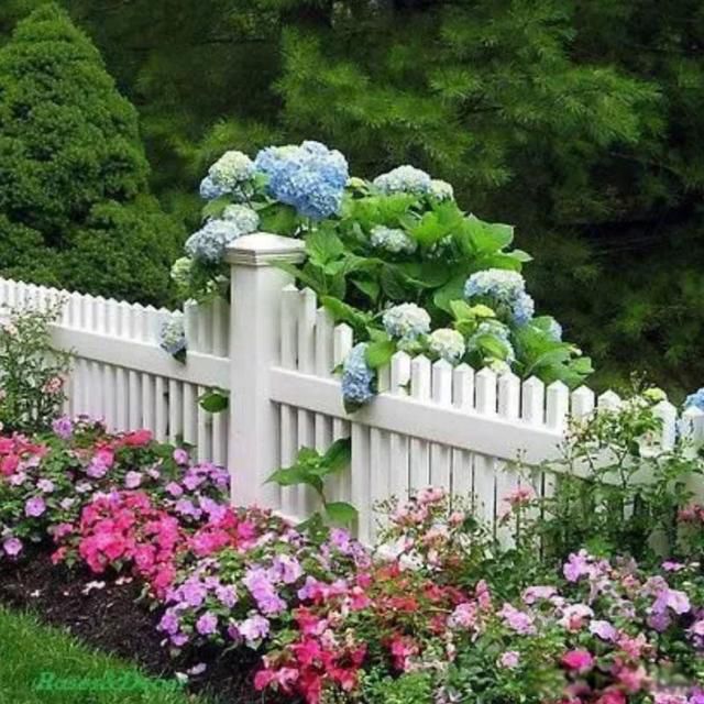 ����ħ����˼ �����ܵ�û�д���һ��Ҫ�ж�